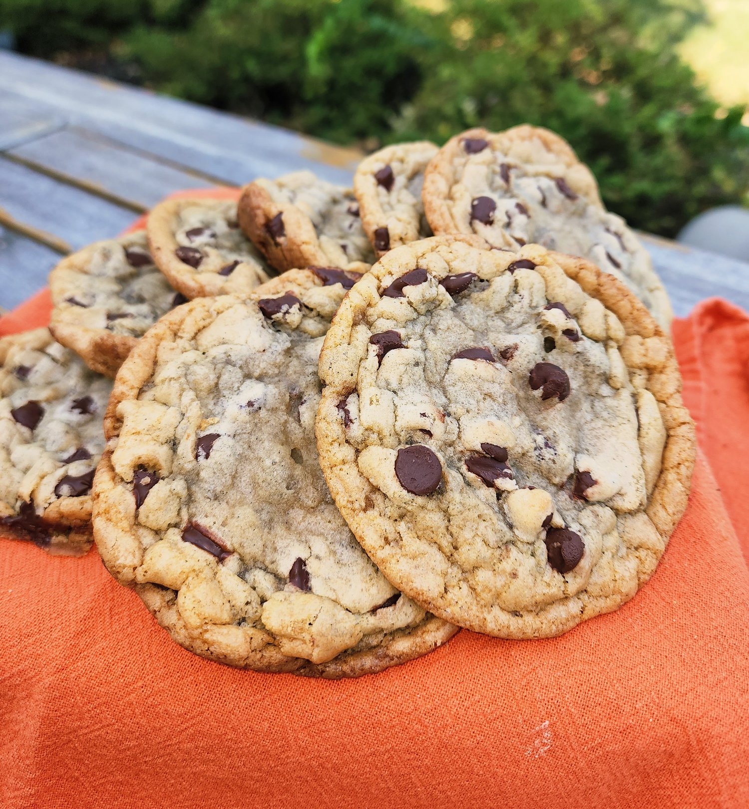 Gourmet chocolate chip cookies