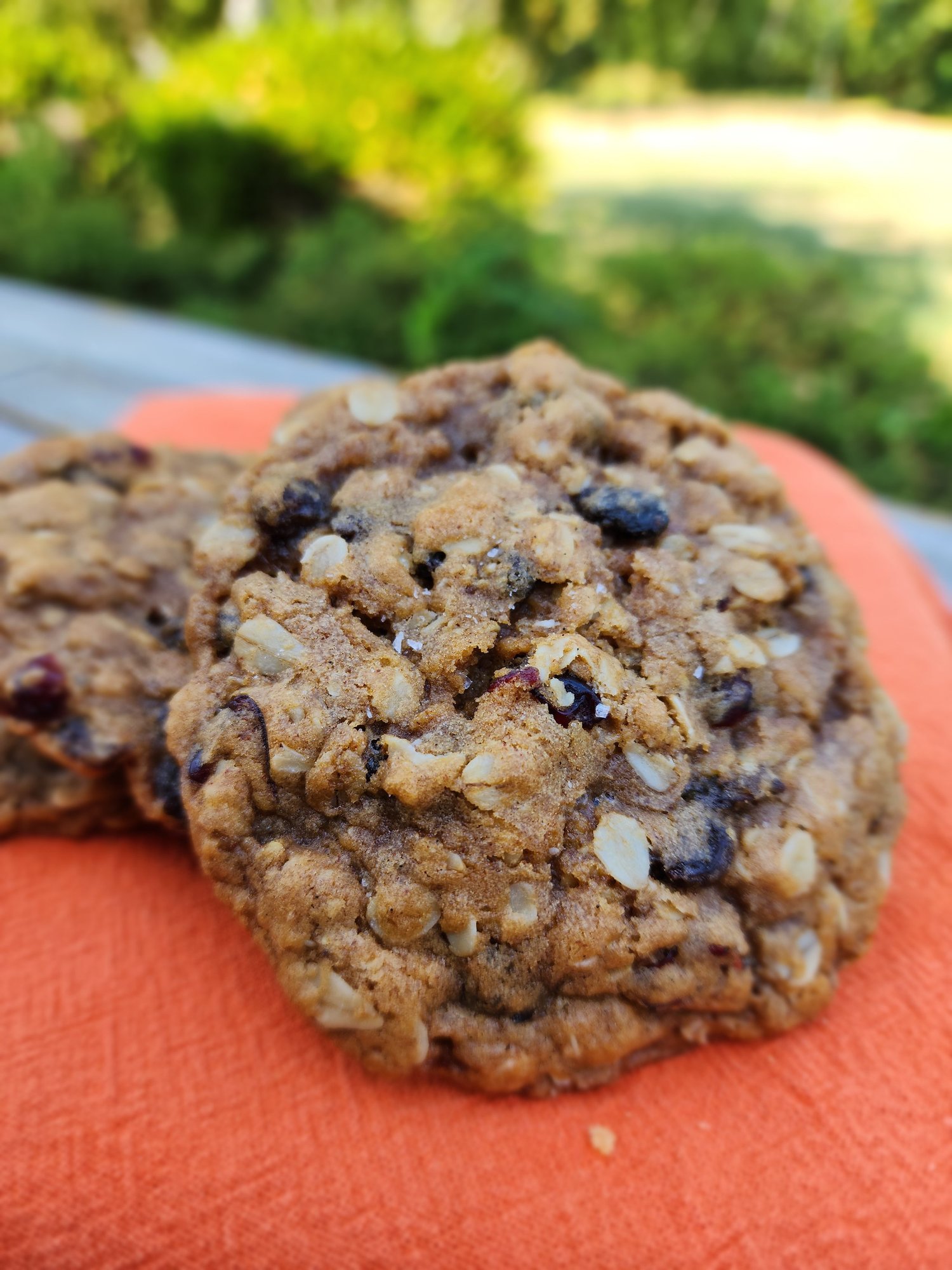 Oatmeal cranberry raisin cookies